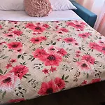 Parthenope Luxury House בית הארחה 4*